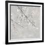 Blossom Spray IV-Tania Bello-Framed Giclee Print