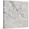 Blossom Spray IV-Tania Bello-Stretched Canvas