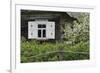 Blossom Surrounds-Staffan Widstrand-Framed Giclee Print