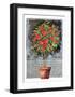 Blossom Time I-C^ Wurzig-Framed Art Print