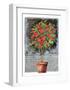 Blossom Time I-C^ Wurzig-Framed Art Print