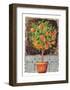 Blossom Time II-C^ Wurzig-Framed Art Print