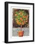 Blossom Time II-C^ Wurzig-Framed Art Print