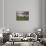 Blossom Time-Edward Henry Potthast-Framed Stretched Canvas displayed on a wall