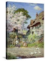 Blossom Time-Joseph Kirkpatrick-Stretched Canvas