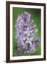 Blossom Tower-Staffan Widstrand-Framed Giclee Print