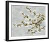 Blossom Whirl II-Tania Bello-Framed Giclee Print