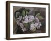 Blossom with Coffee Pot-Mary Nancy Skempton-Framed Giclee Print