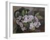 Blossom with Coffee Pot-Mary Nancy Skempton-Framed Giclee Print