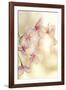 Blossom-Andreas Stridsberg-Framed Giclee Print