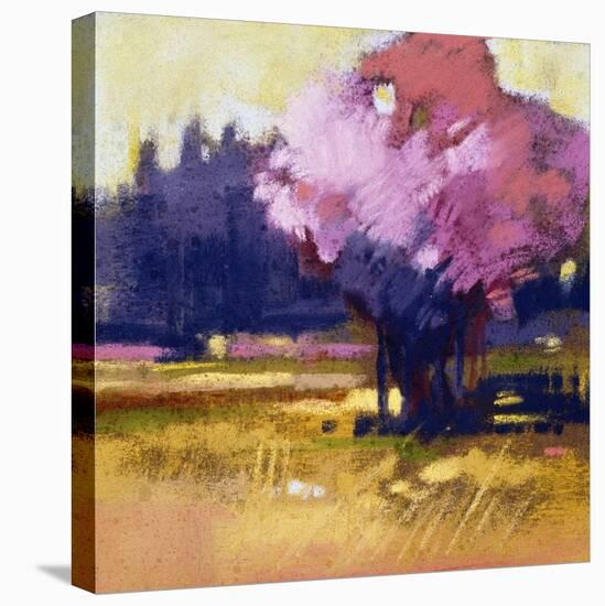 Blossom-Lou Wall-Stretched Canvas