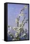 Blossom-Sophie Anderson-Framed Stretched Canvas