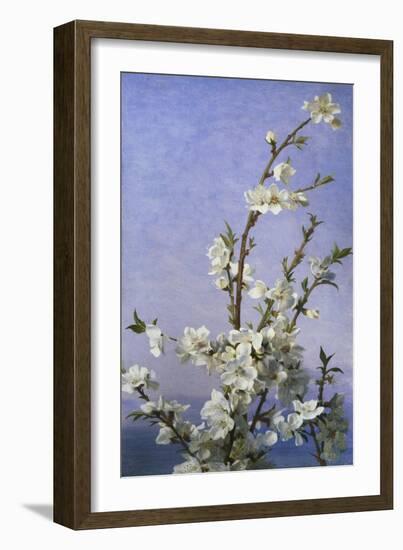 Blossom-Sophie Anderson-Framed Giclee Print