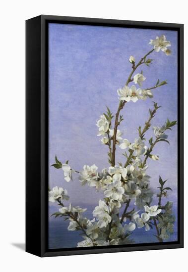 Blossom-Sophie Anderson-Framed Stretched Canvas