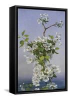 Blossom-Sophie Anderson-Framed Stretched Canvas