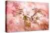 Blossom-Jacky Parker-Stretched Canvas