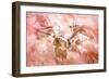 Blossom-Jacky Parker-Framed Giclee Print