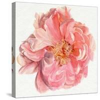 Blossomed Peony I-Jennifer Parker-Stretched Canvas