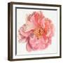 Blossomed Peony I-Jennifer Parker-Framed Art Print