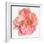 Blossomed Peony I-Jennifer Parker-Framed Art Print