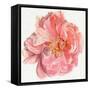 Blossomed Peony I-Jennifer Parker-Framed Stretched Canvas