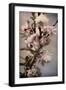 Blossoming Almond 1-Julie Greenwood-Framed Art Print