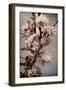 Blossoming Almond 1-Julie Greenwood-Framed Premium Giclee Print