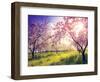 Blossoming Apple Orchard in Spring and Blue Sky. Retro Filtered. Instagram Effect. Ukraine, Europe.-Leonid Tit-Framed Photographic Print