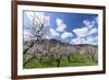 Blossoming Apricot Trees and the Castle Ruin Hinterhaus, Austria-Volker Preusser-Framed Photographic Print