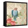 Blossoming Birds Sq I-Paul Brent-Framed Stretched Canvas