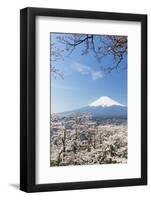 Blossoming Cherry Trees in the Hills of Fujiyoshida in Front of Snowy Mount Fuji-P. Kaczynski-Framed Photographic Print