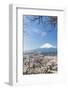 Blossoming Cherry Trees in the Hills of Fujiyoshida in Front of Snowy Mount Fuji-P. Kaczynski-Framed Photographic Print
