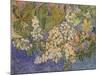 Blossoming Chestnut Branches, 1890-Vincent van Gogh-Mounted Giclee Print