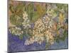 Blossoming Chestnut Branches, 1890-Vincent van Gogh-Mounted Giclee Print