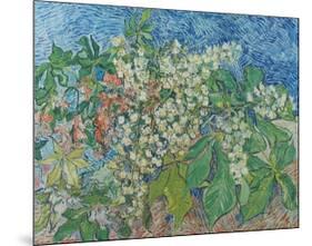 Blossoming Chestnut Branches, c.1890-Vincent van Gogh-Mounted Collectable Print