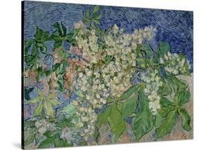 Blossoming Chestnut Branches, c.1890-Vincent van Gogh-Stretched Canvas