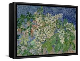 Blossoming Chestnut Branches, c.1890-Vincent van Gogh-Framed Stretched Canvas