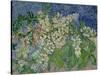 Blossoming Chestnut Branches, c.1890-Vincent van Gogh-Stretched Canvas