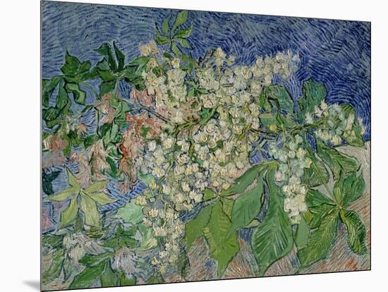 Blossoming Chestnut Branches, c.1890-Vincent van Gogh-Mounted Giclee Print