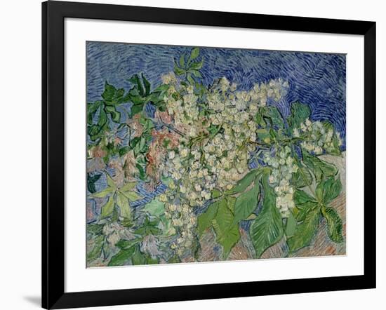 Blossoming Chestnut Branches, c.1890-Vincent van Gogh-Framed Giclee Print