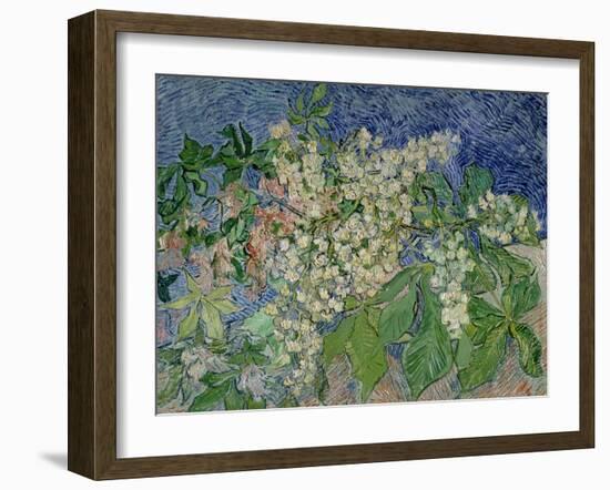 Blossoming Chestnut Branches, c.1890-Vincent van Gogh-Framed Giclee Print