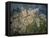 Blossoming Chestnut Branches-Vincent van Gogh-Framed Stretched Canvas