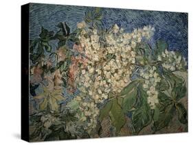 Blossoming Chestnut Branches-Vincent van Gogh-Stretched Canvas