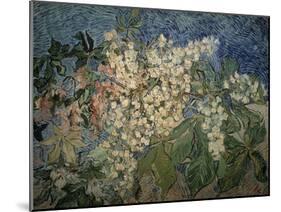 Blossoming Chestnut Branches-Vincent van Gogh-Mounted Premium Giclee Print