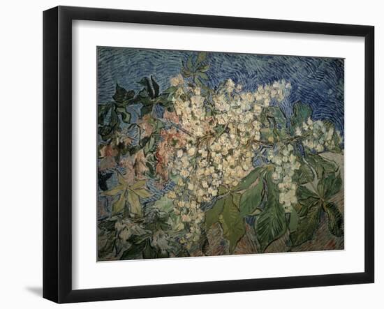 Blossoming Chestnut Branches-Vincent van Gogh-Framed Giclee Print