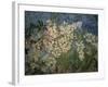 Blossoming Chestnut Branches-Vincent van Gogh-Framed Giclee Print