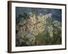 Blossoming Chestnut Branches-Vincent van Gogh-Framed Giclee Print