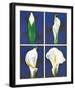 Blossoming Flower I-Ferrer-Framed Art Print