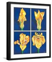 Blossoming Flower IV-Ferrer-Framed Art Print