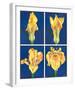 Blossoming Flower IV-Ferrer-Framed Art Print